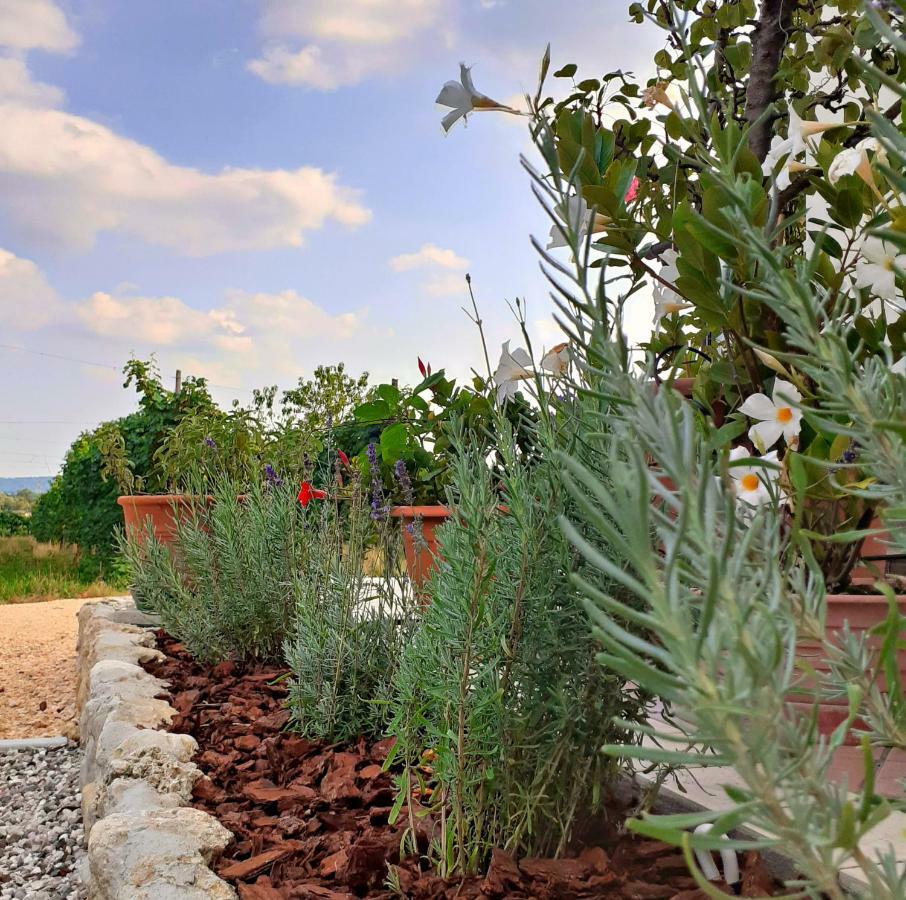 Le Vigne Di Annalisa Sweet Relax Rooms In Unesco Prosecco D.O.C.G. Farra di Soligo Luaran gambar